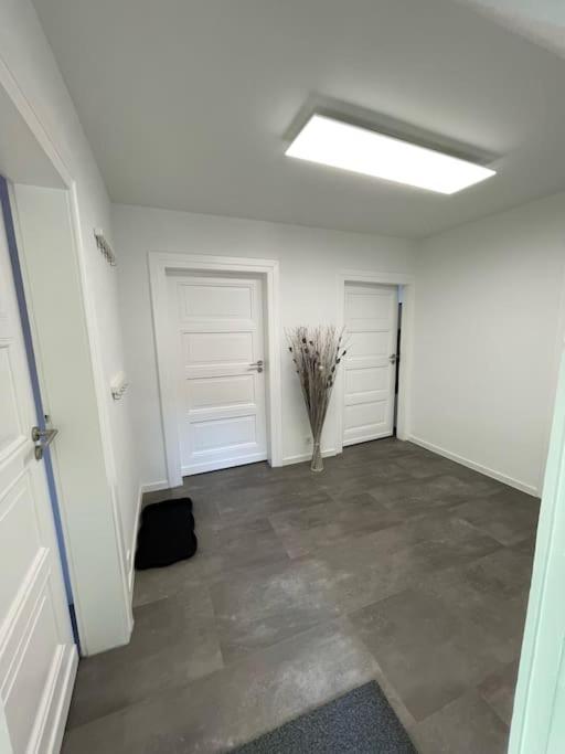 Komfortable Ferienwohnung In Halle-Kroellwitz Halle  Luaran gambar